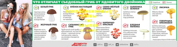PSILOCYBIN Пестово