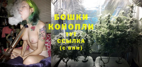 трава Пересвет