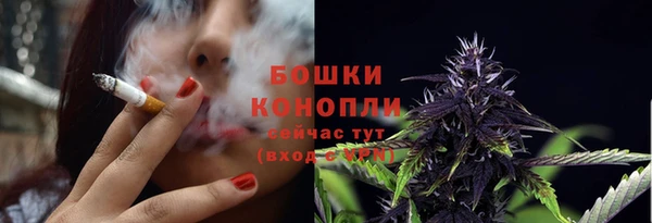 трава Пересвет