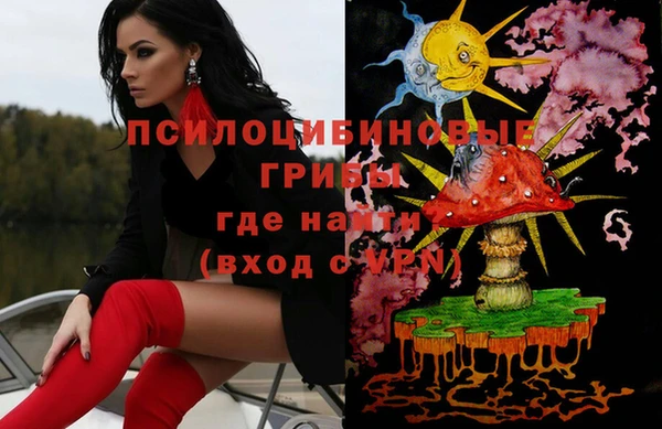 PSILOCYBIN Пестово