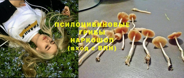 гидра Покров