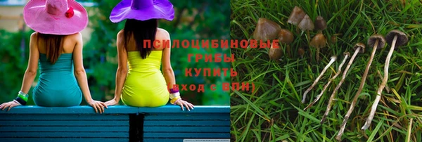 гидра Покров