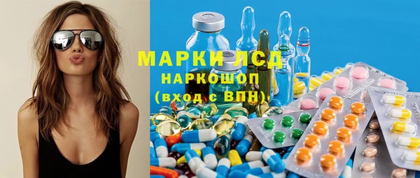трава Пересвет