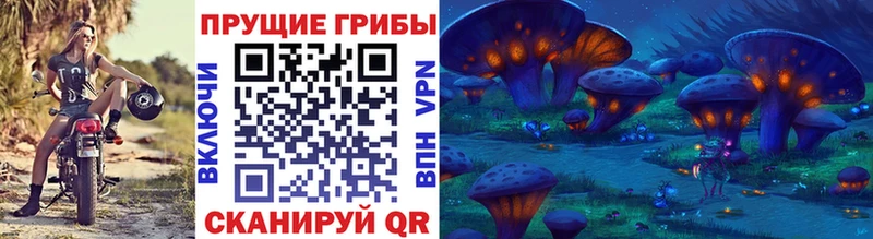 KRAKEN ССЫЛКА  Теберда  Псилоцибиновые грибы MAGIC MUSHROOMS  сколько стоит 