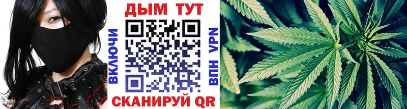 закладки  Теберда  Конопля тримм 
